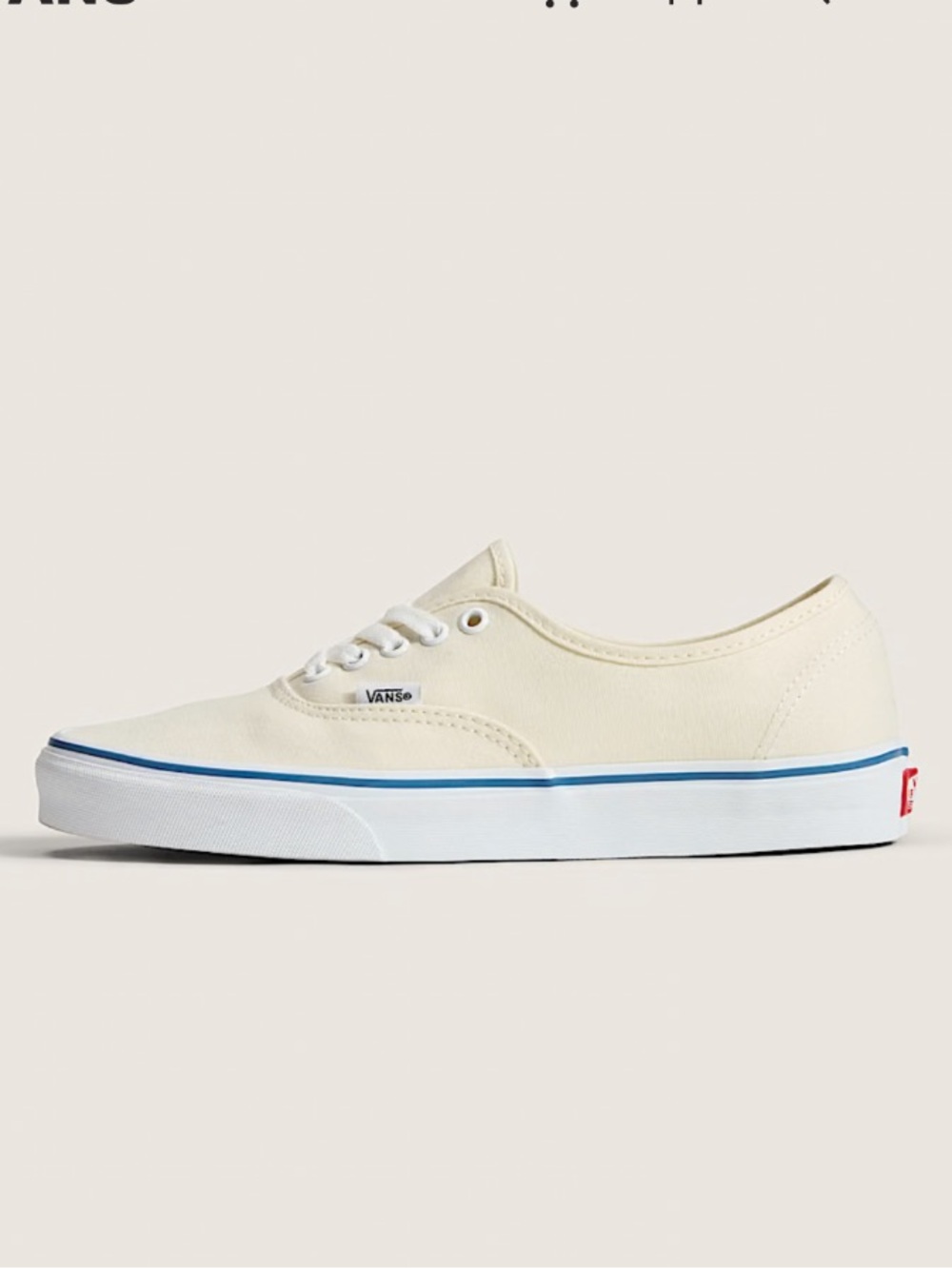 Vans Authentic Skate Shoe in Off White with Blue Stripe